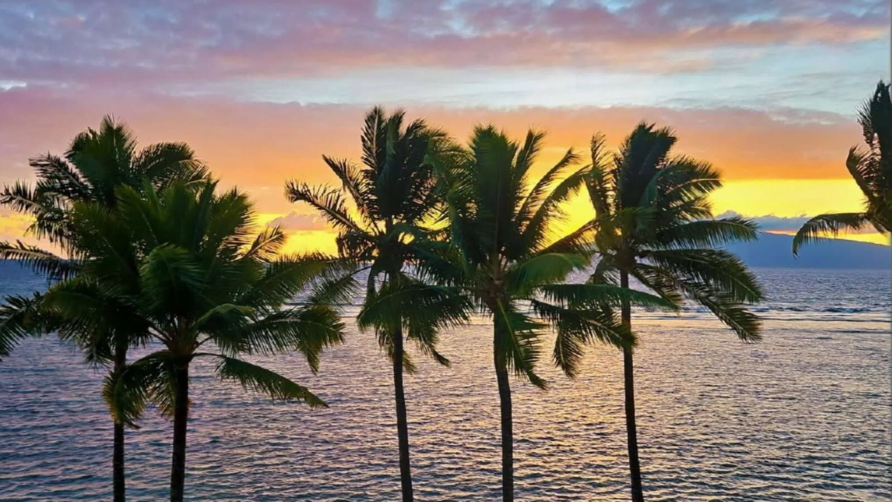 Photo of Others in Historic Lahaina Front Street
