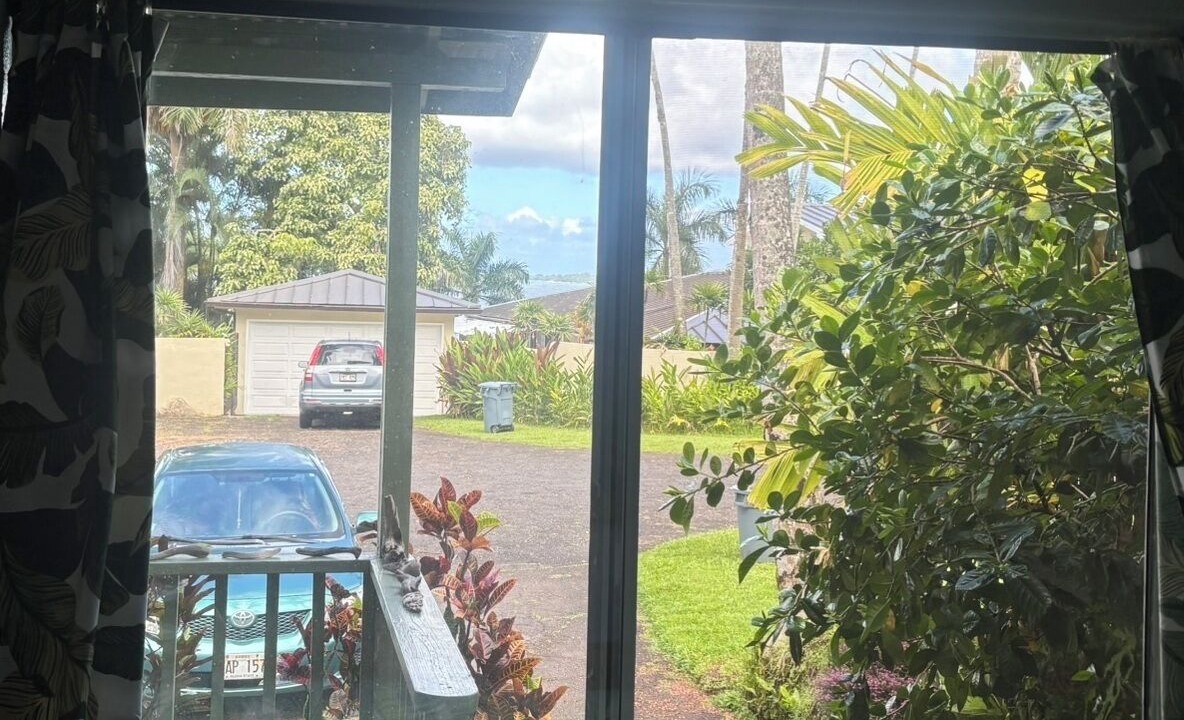 Photo of Others in Hilo