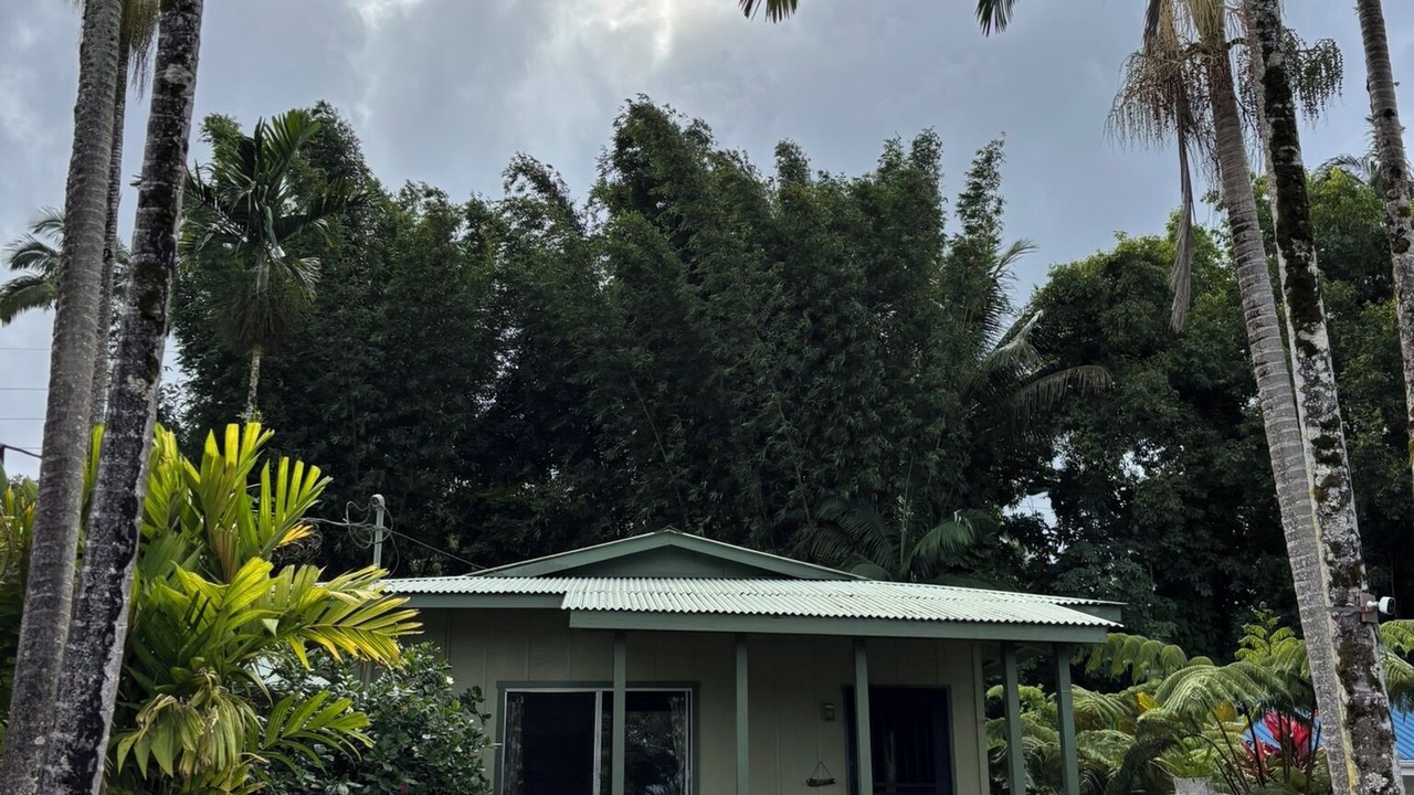 Photo of Outdoor in Hilo