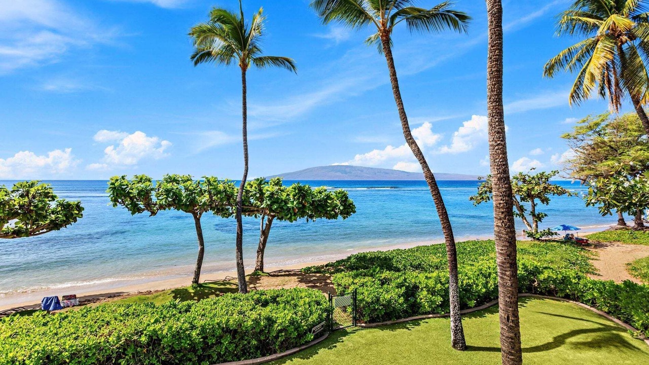 Photo of Others in Historic Lahaina Front Street