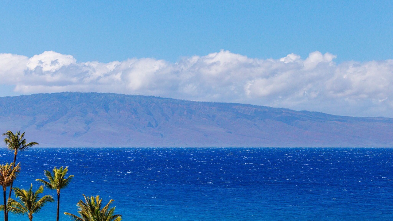 Photo of Others in Kaanapali