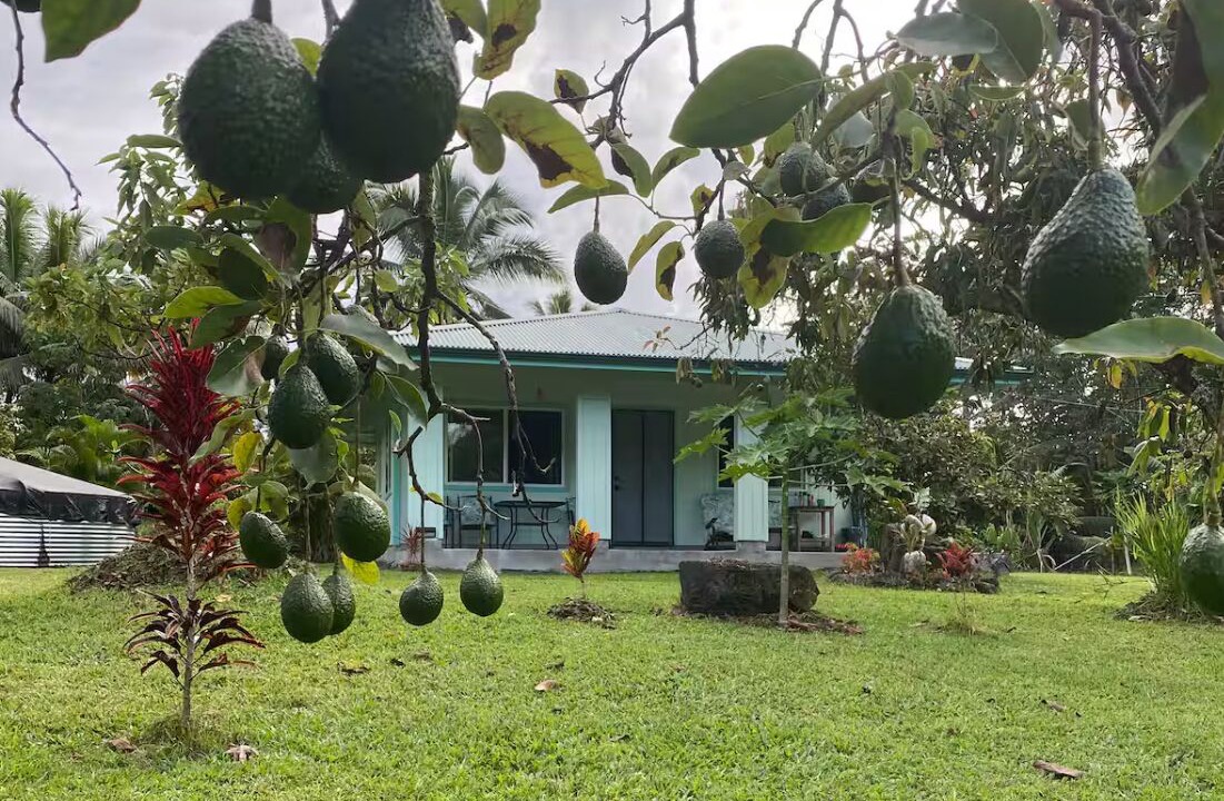 Photo of Outdoor in Keaau