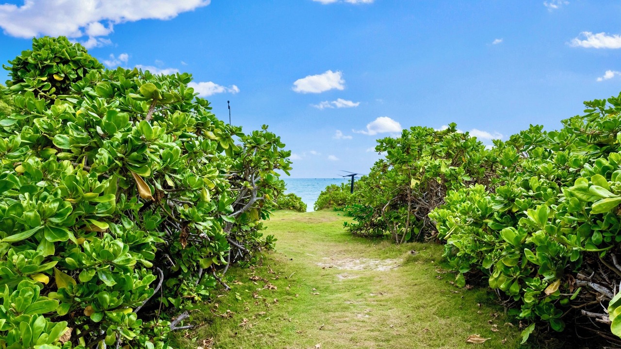 Photo of Outdoor in Kailua