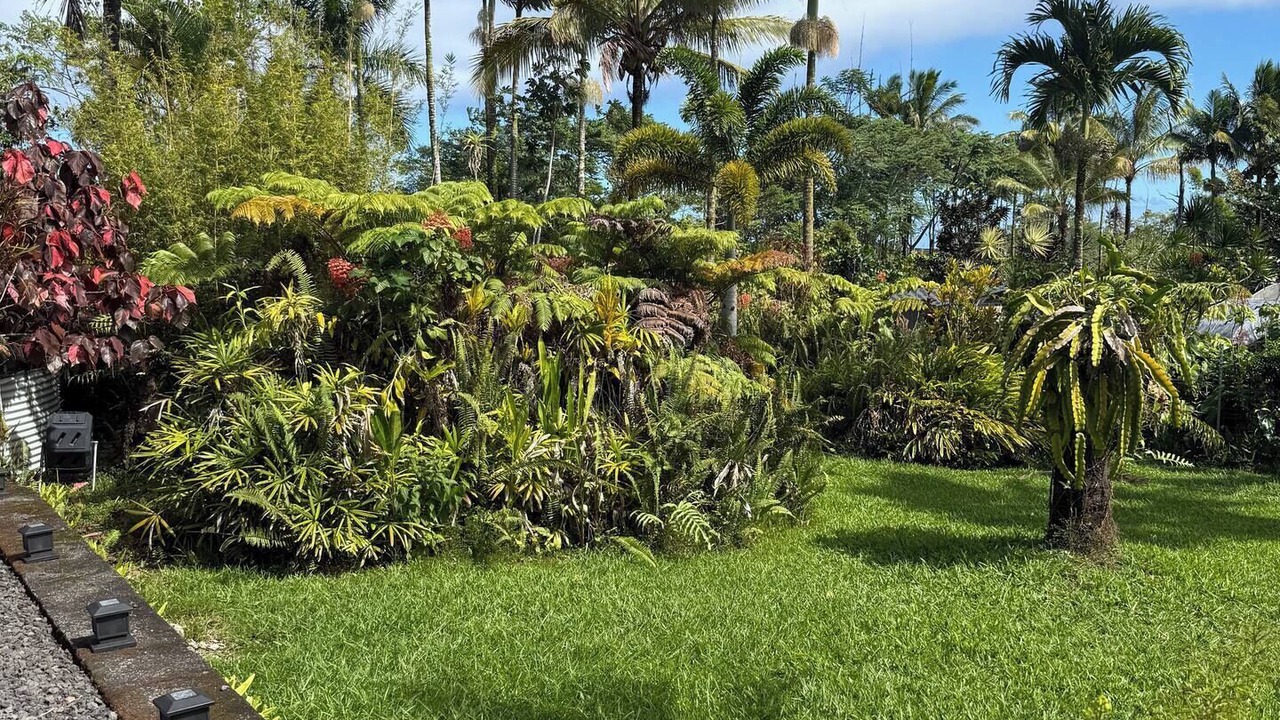 Photo of Outdoor in Leilani Estates
