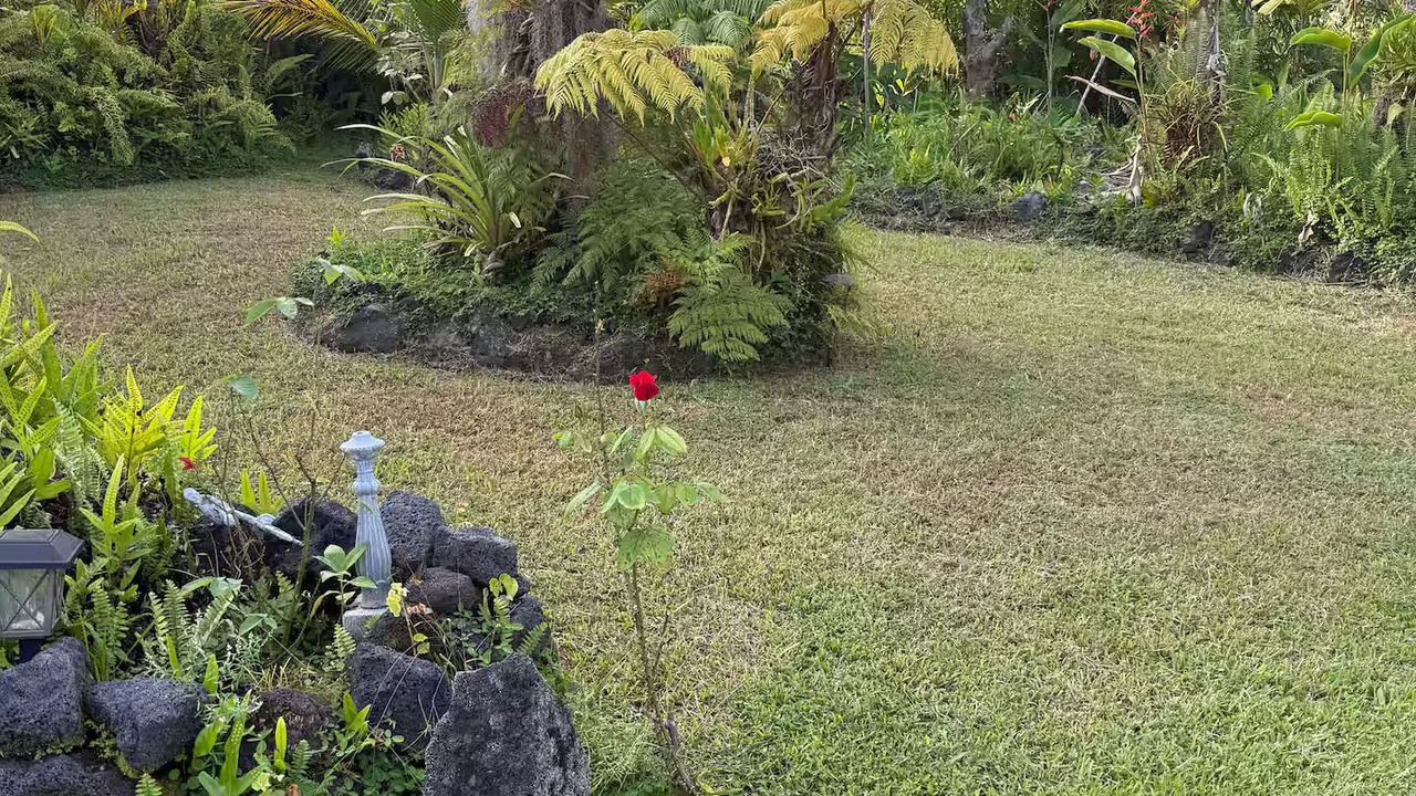 Photo of Outdoor in Leilani Estates