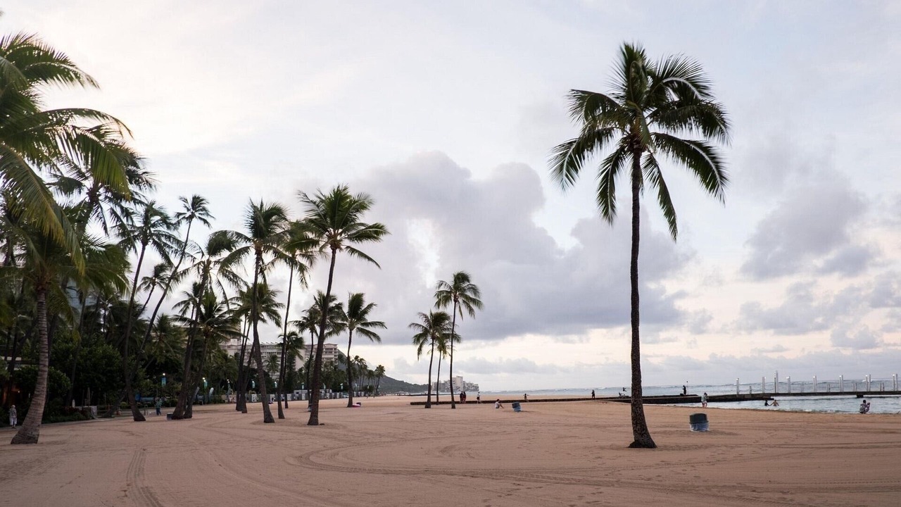 Photo of Others in Waikiki