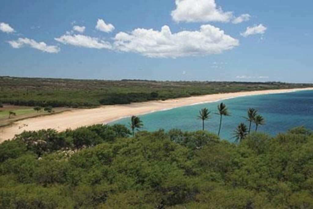 Photo of Others in Maunaloa