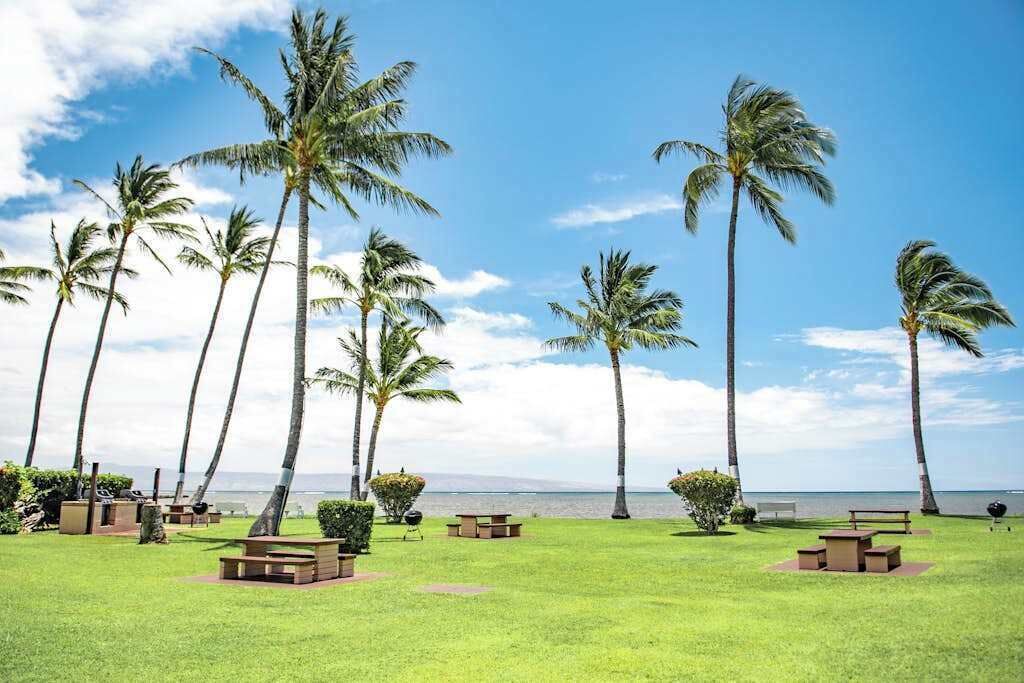 Photo of Outdoor in Kaunakakai
