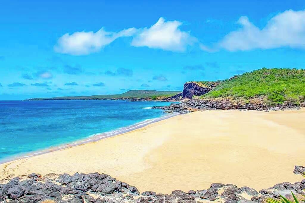 Photo of Others in Maunaloa