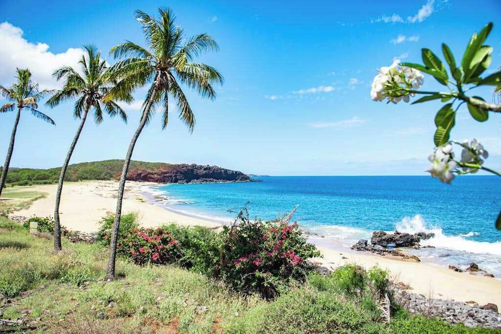 Photo of Others in Maunaloa