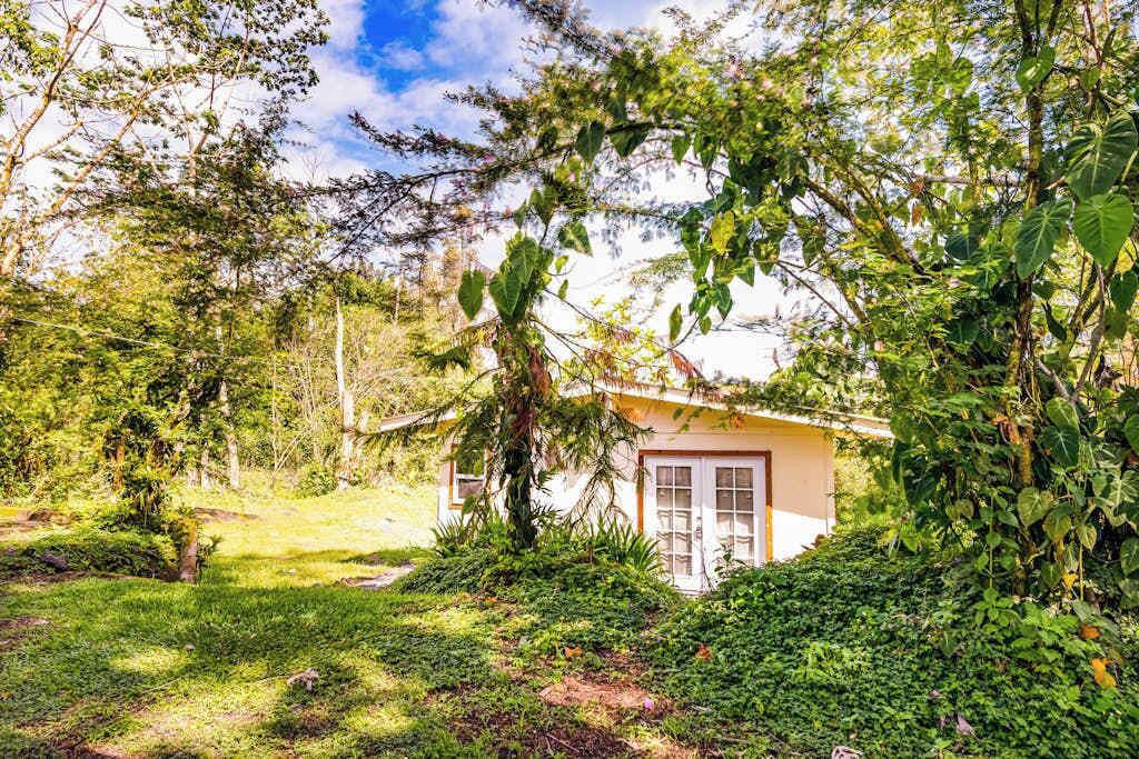 Photo of Outdoor in Kapoho