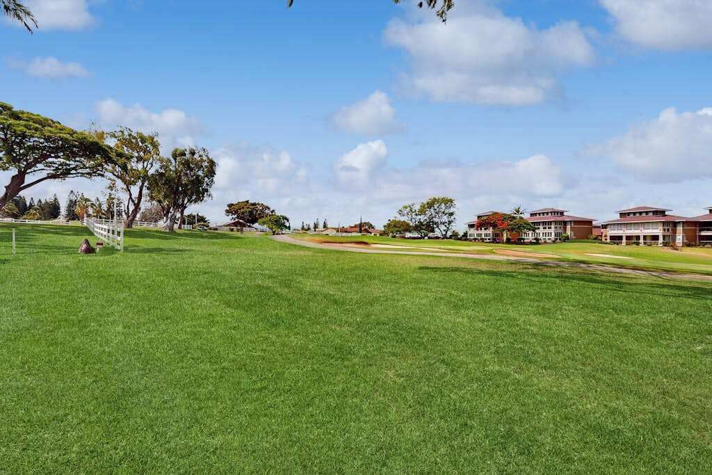 Photo of Outdoor in Waikoloa
