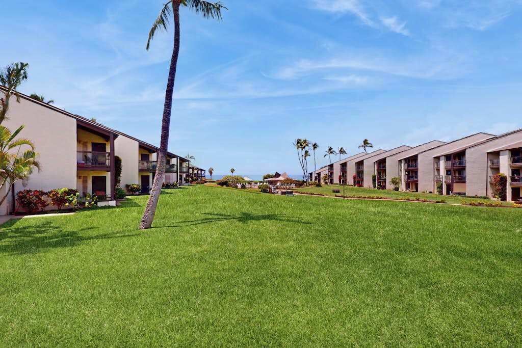 Photo of Outdoor in Kihei