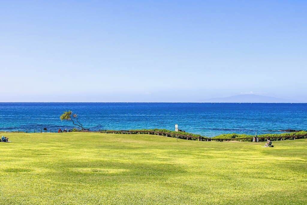 Photo of Others in Kihei