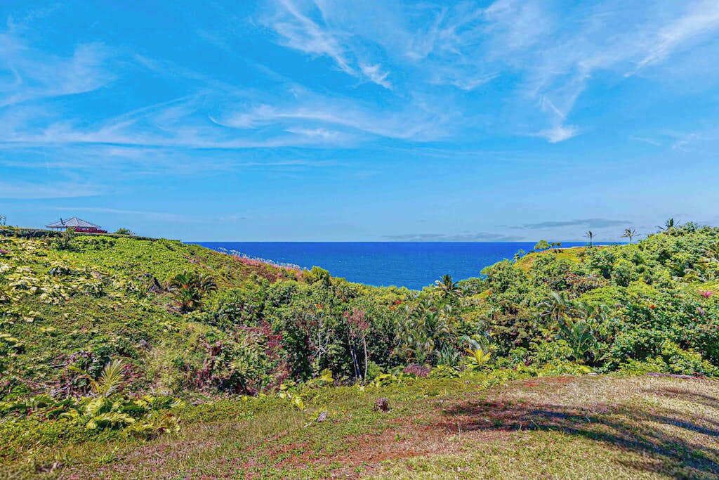 Photo of Others in Princeville