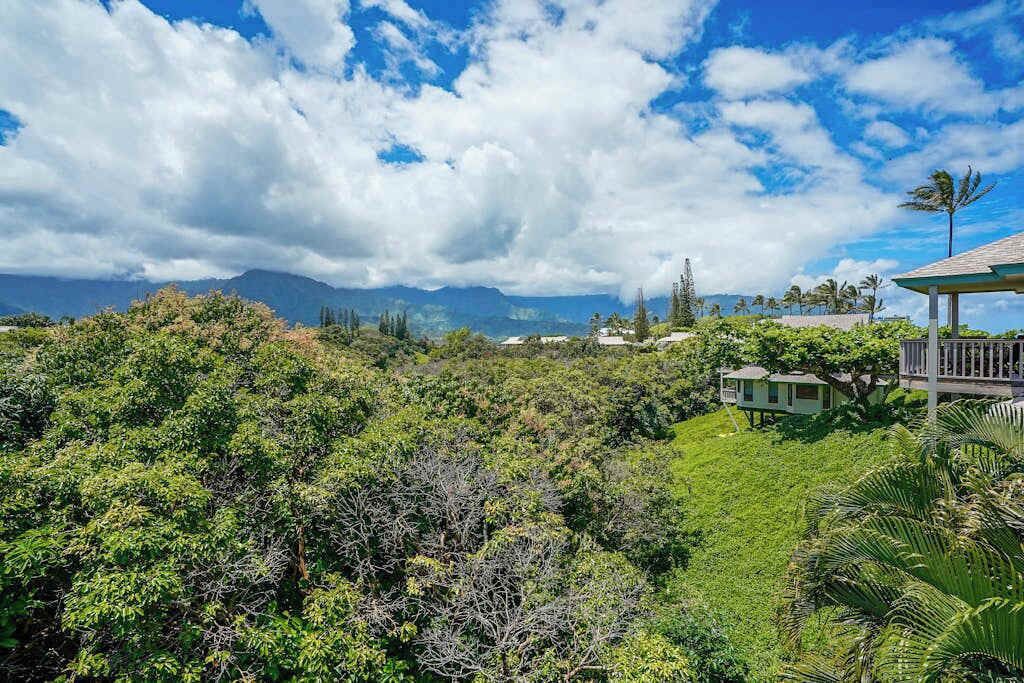 Photo of Outdoor in Princeville