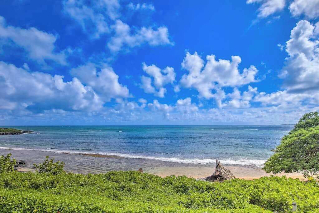 Photo of Others in Wailua