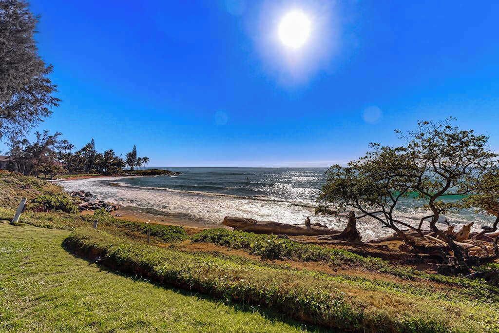 Photo of Others in Wailua House Lots