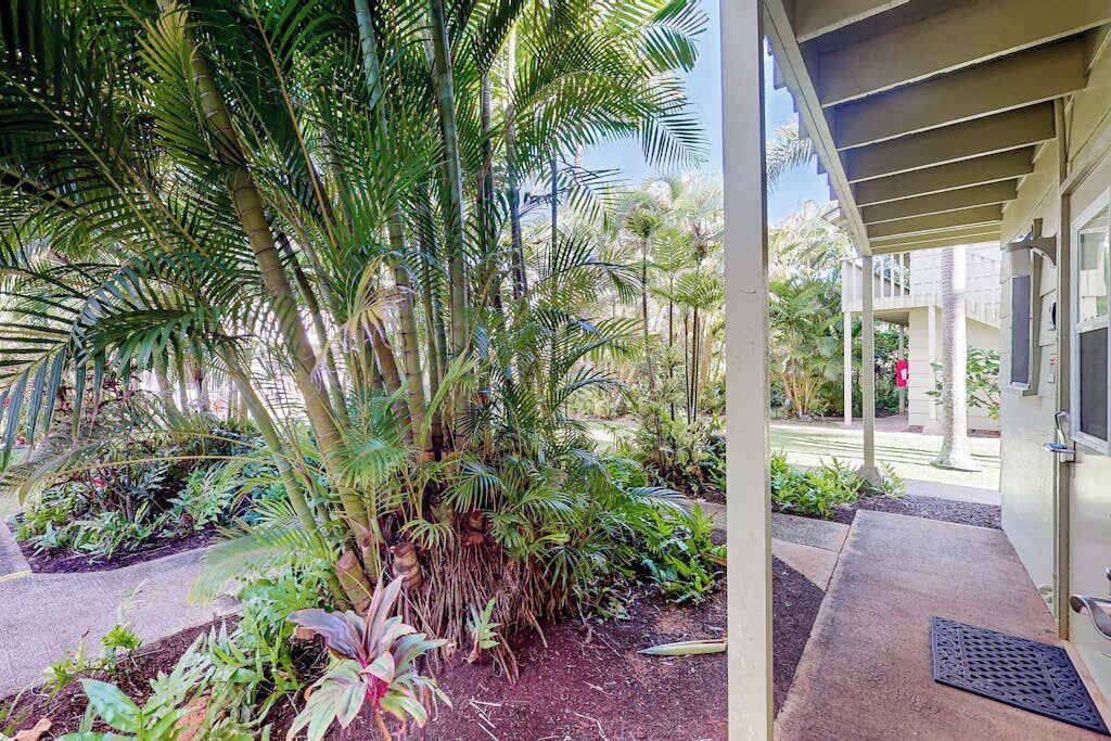Photo of Outdoor in Wailua House Lots