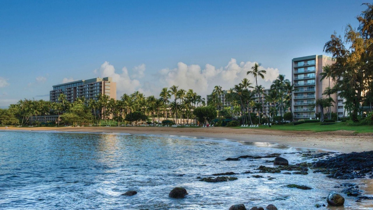 Photo of Others in Lihue