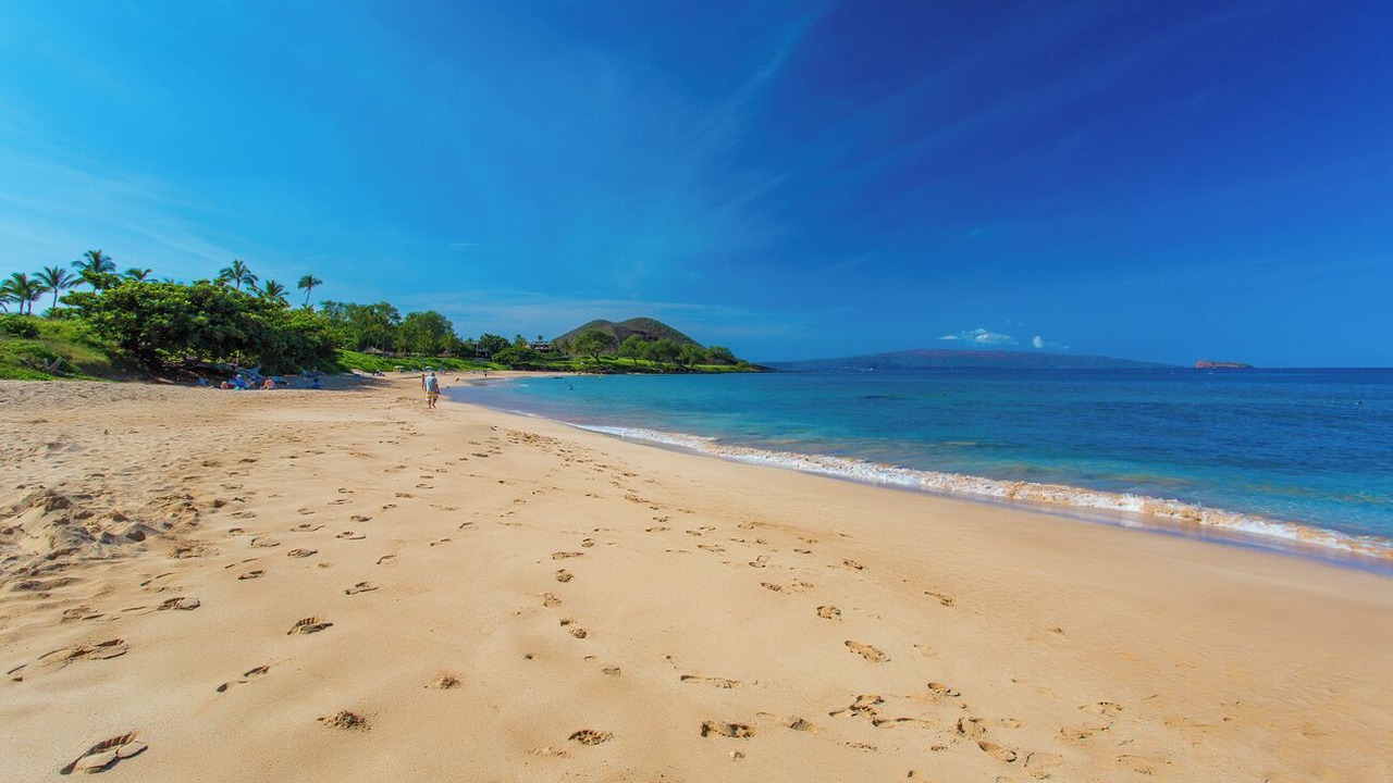 Photo of Others in Wailea