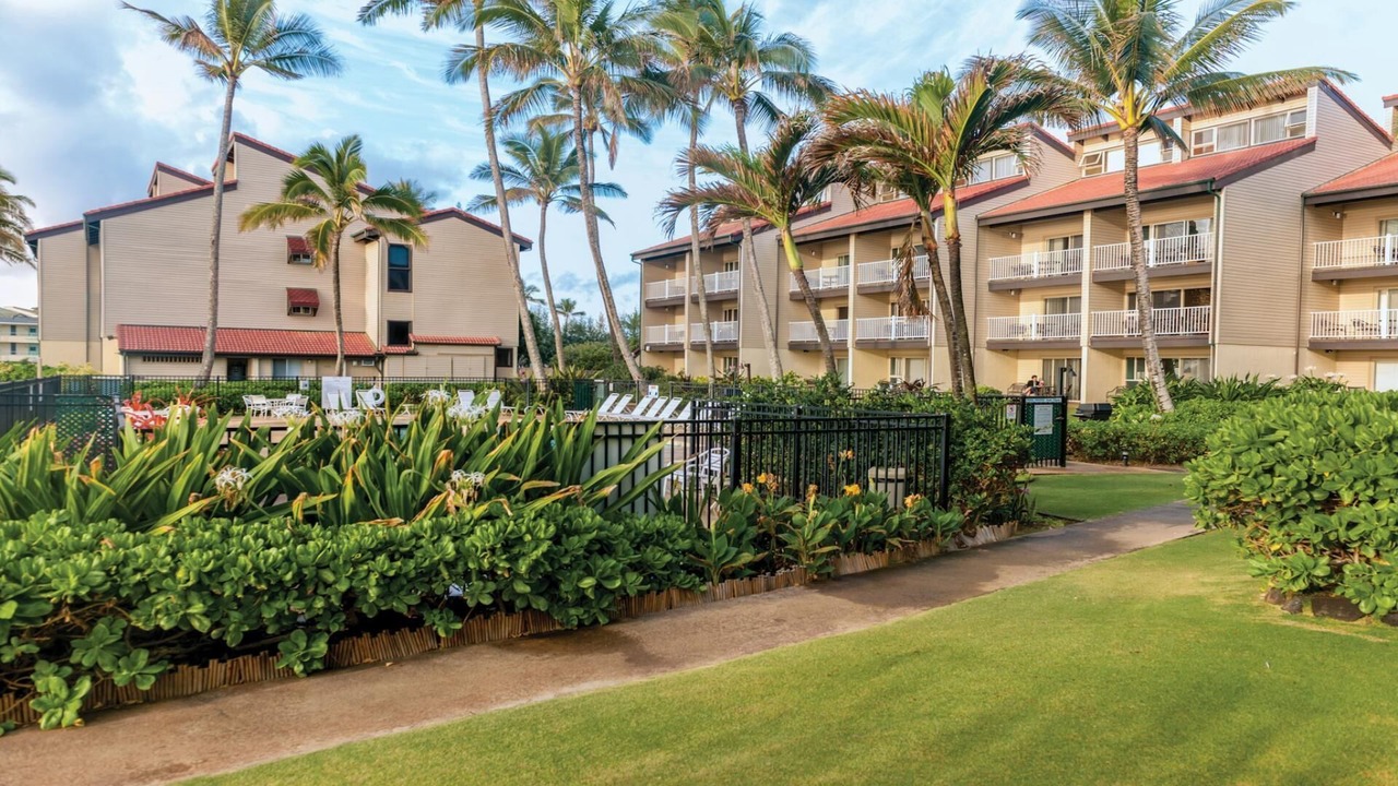 Photo of Outdoor in Wailua