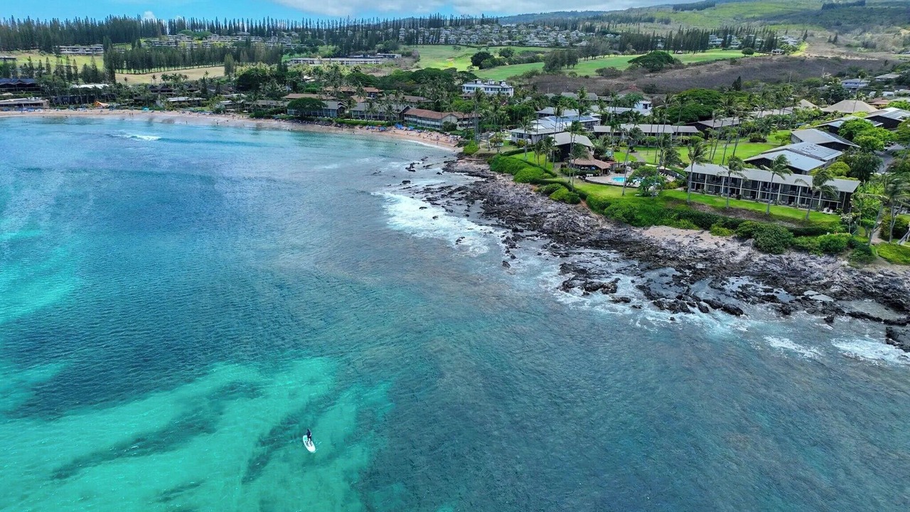 Photo of Others in Napili