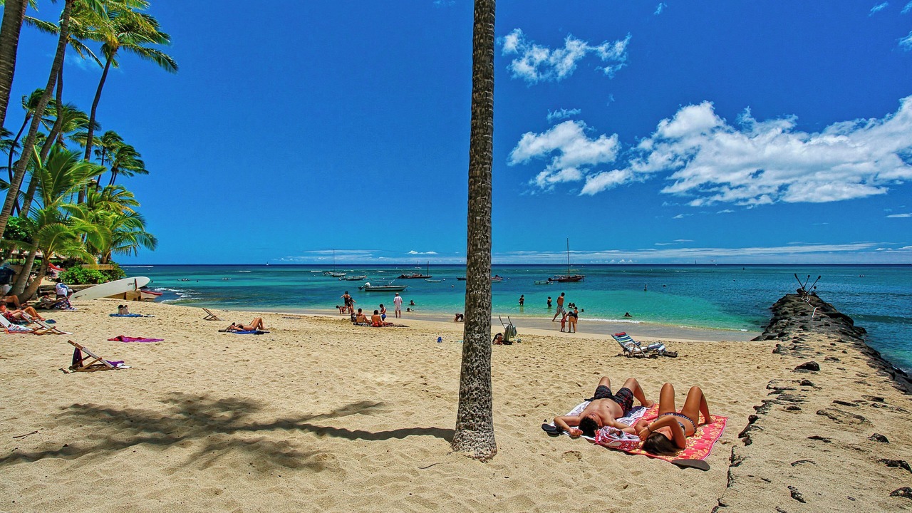 Photo of Others in Diamond Head - Kapahulu - St. Louis