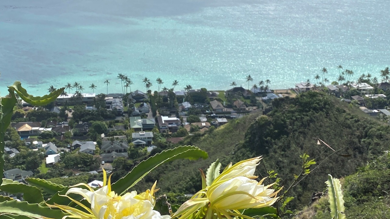 Photo of Outdoor in Lanikai