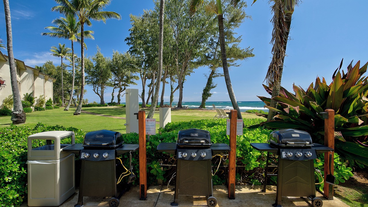Photo of Outdoor in Wailua