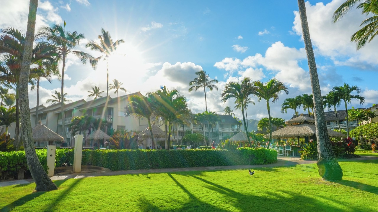 Photo of Outdoor in Wailua