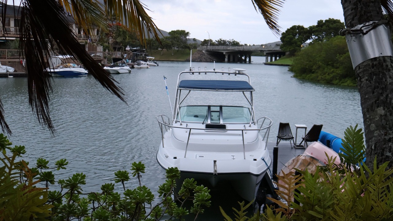 Photo of Others in Portlock