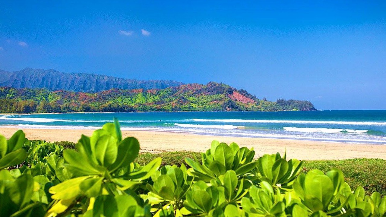 Photo of Others in Hanalei