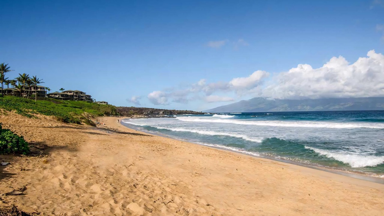 Photo of Others in Napili