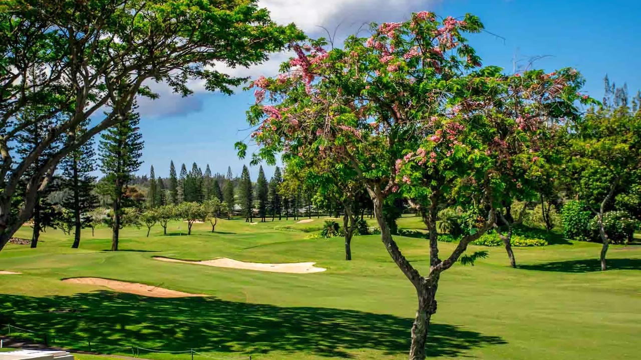 Photo of Others in Napili