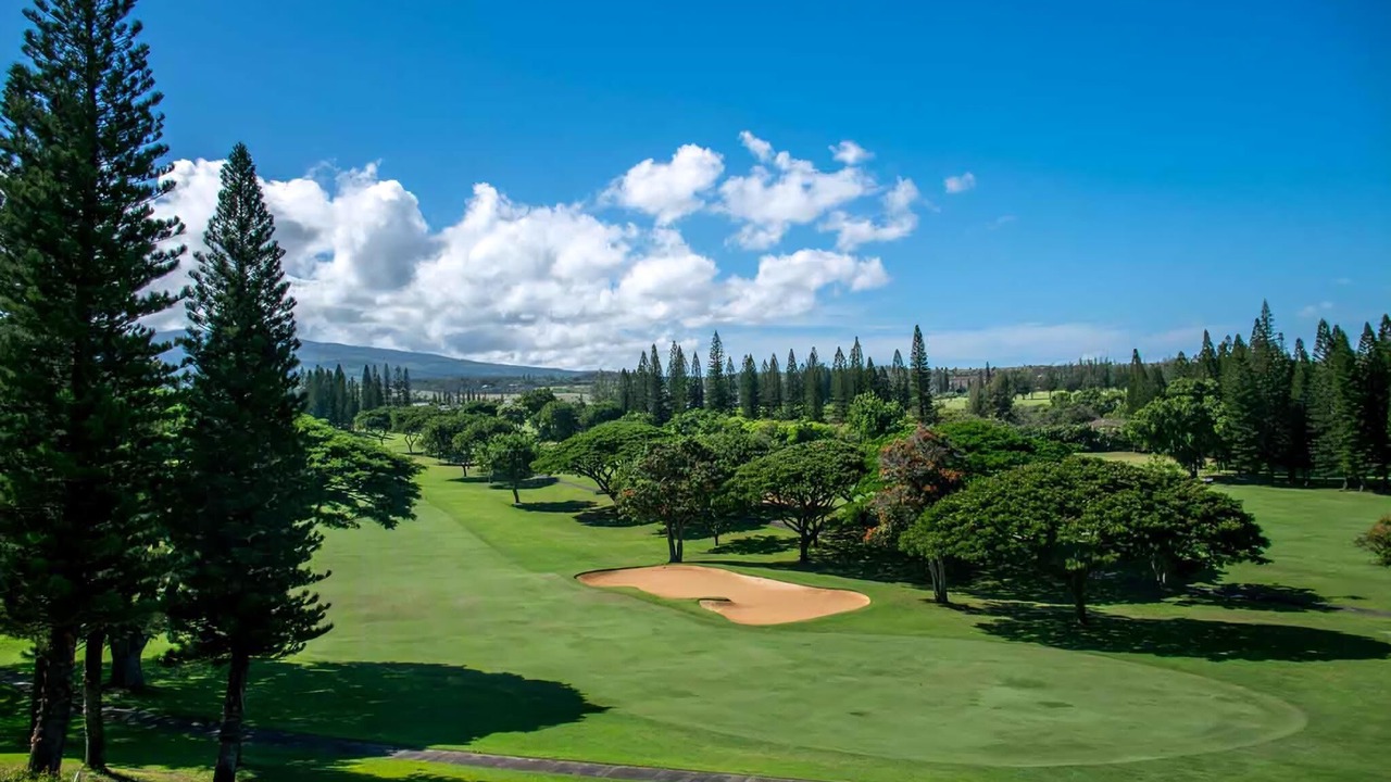 Photo of Others in Napili