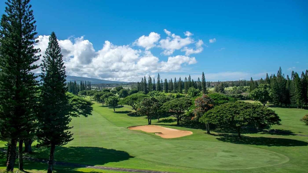 Photo of Others in Napili