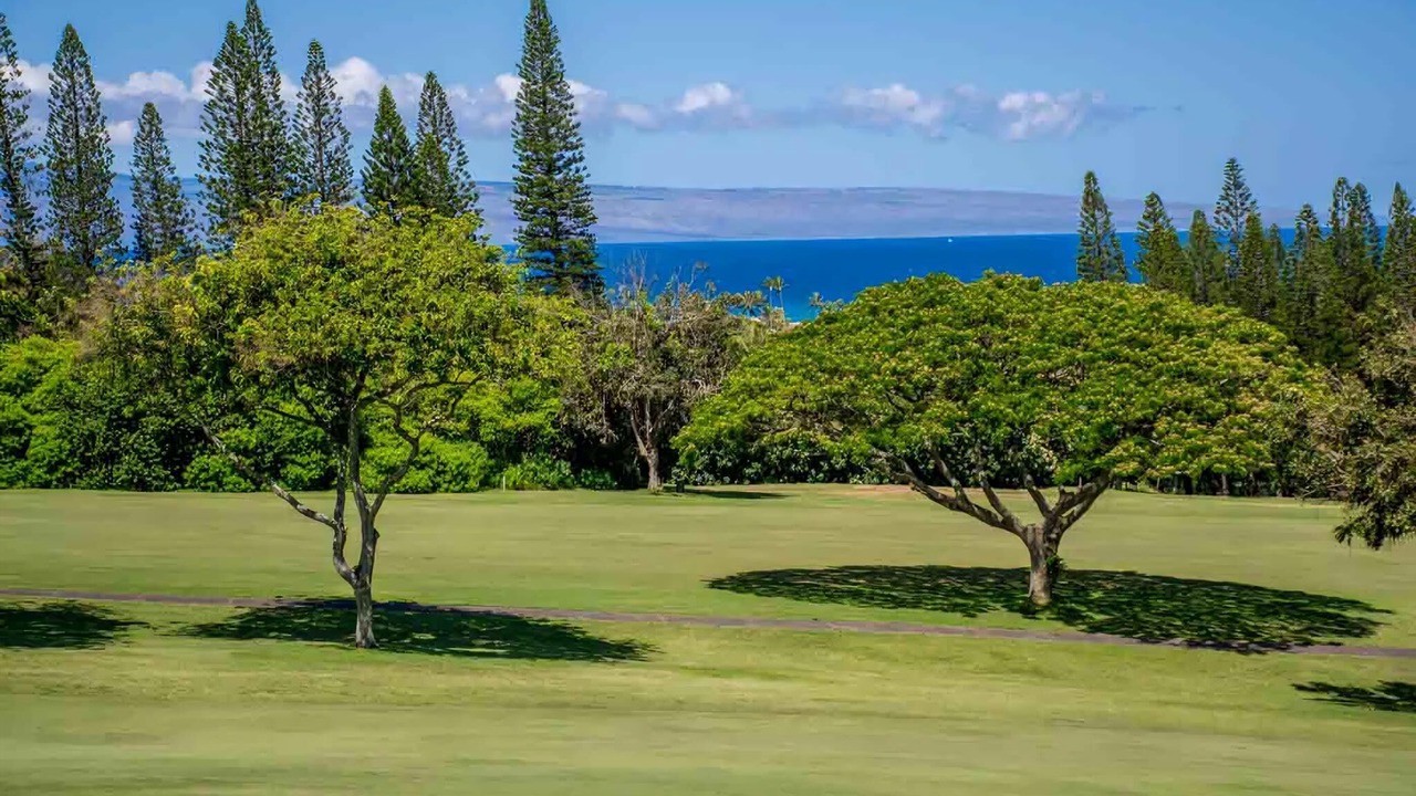 Photo of Others in Napili
