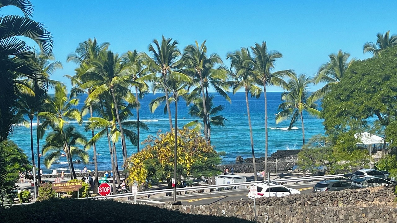 Photo of Others in Kahaluu Bay