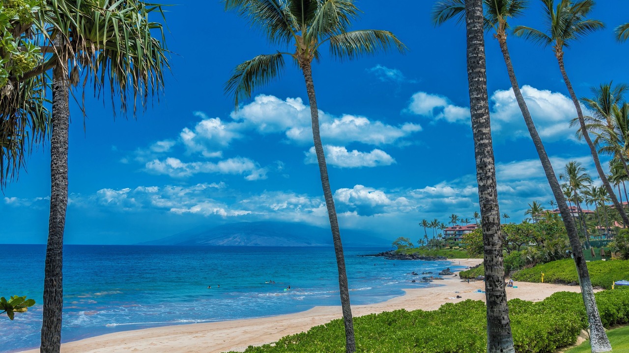 Photo of Others in Wailea