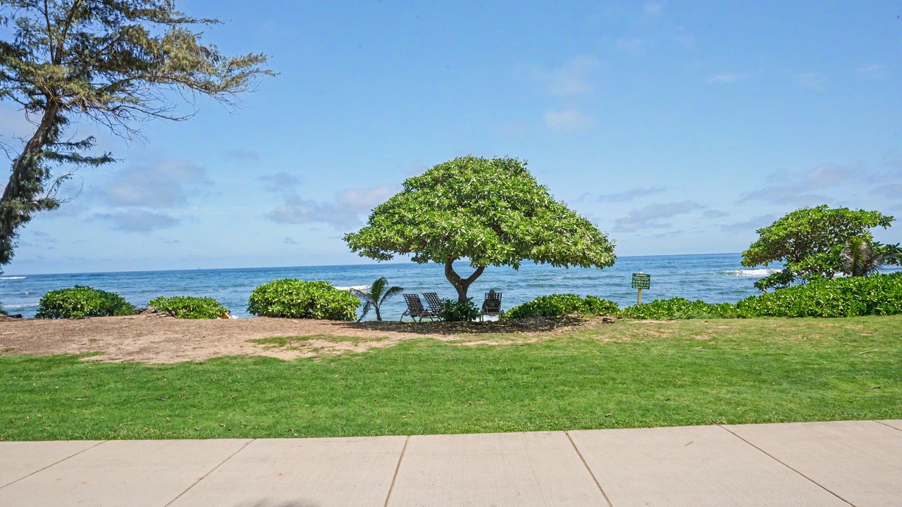 Photo of Others in Wailua