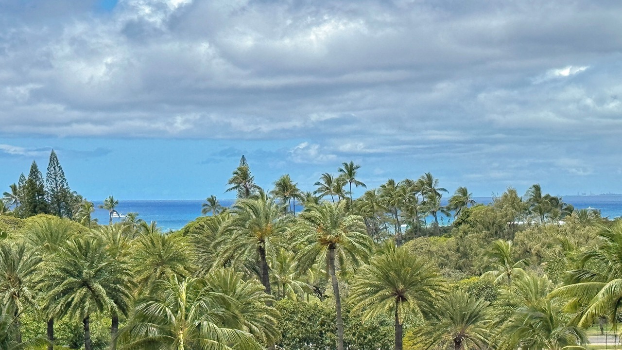 Photo of Others in Waikiki