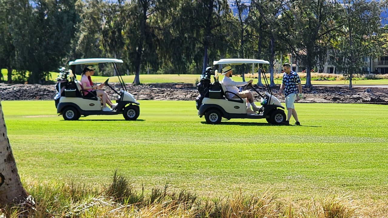 Photo of Others in Waikoloa