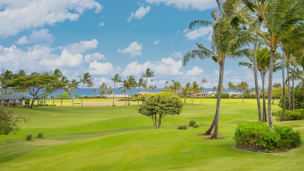 Photo of Others in Kukuiula