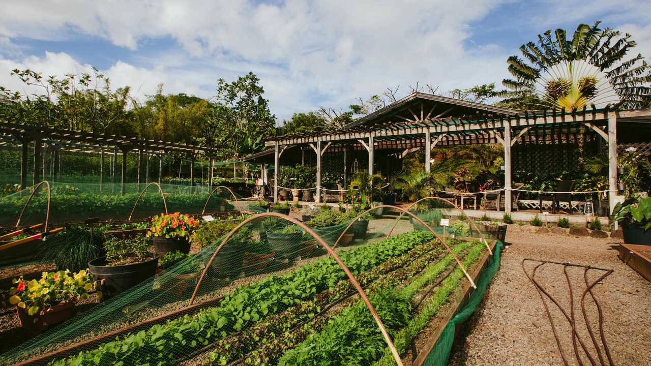 Photo of Others in Kukuiula