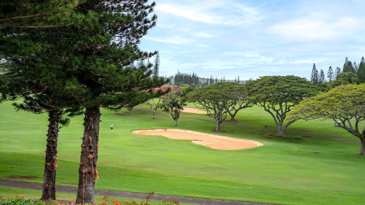 Photo of Others in Kapalua