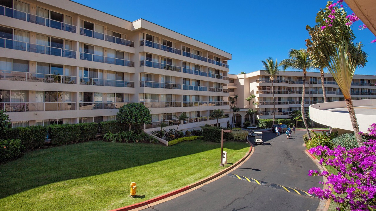 Photo of Outdoor in Kihei