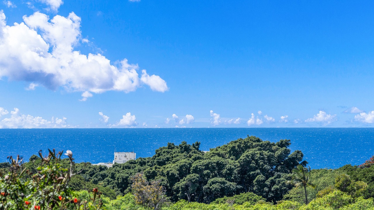 Photo of Others in Wailea