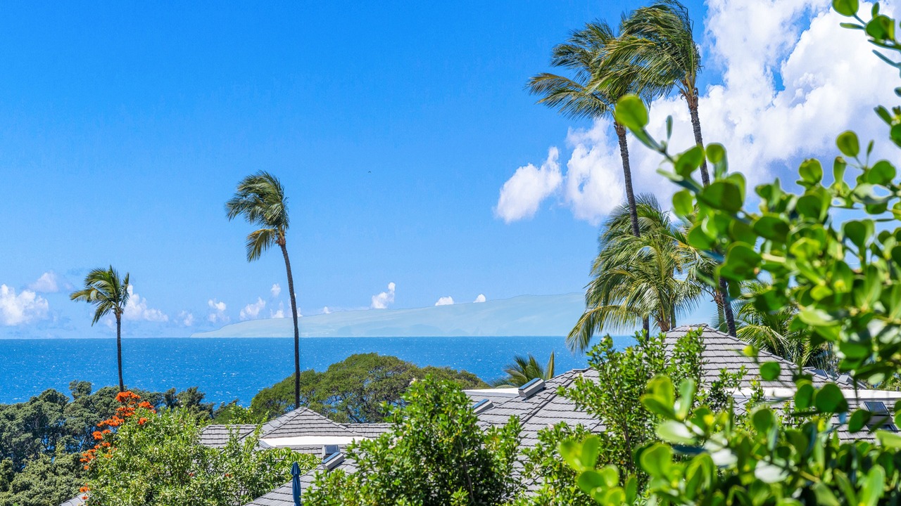 Photo of Outdoor in Wailea