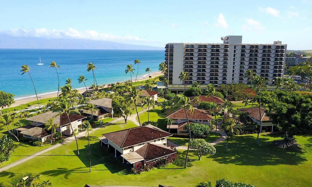 Photo of Others in Lahaina